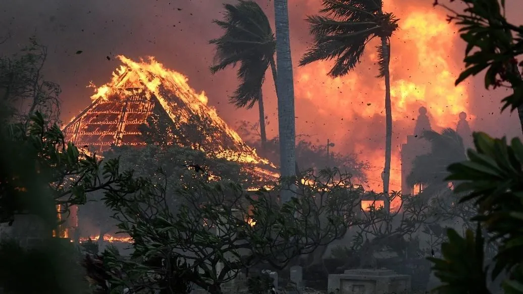 Analgesic Healthcare Donates To Help Those Affected By Hawaii Fires