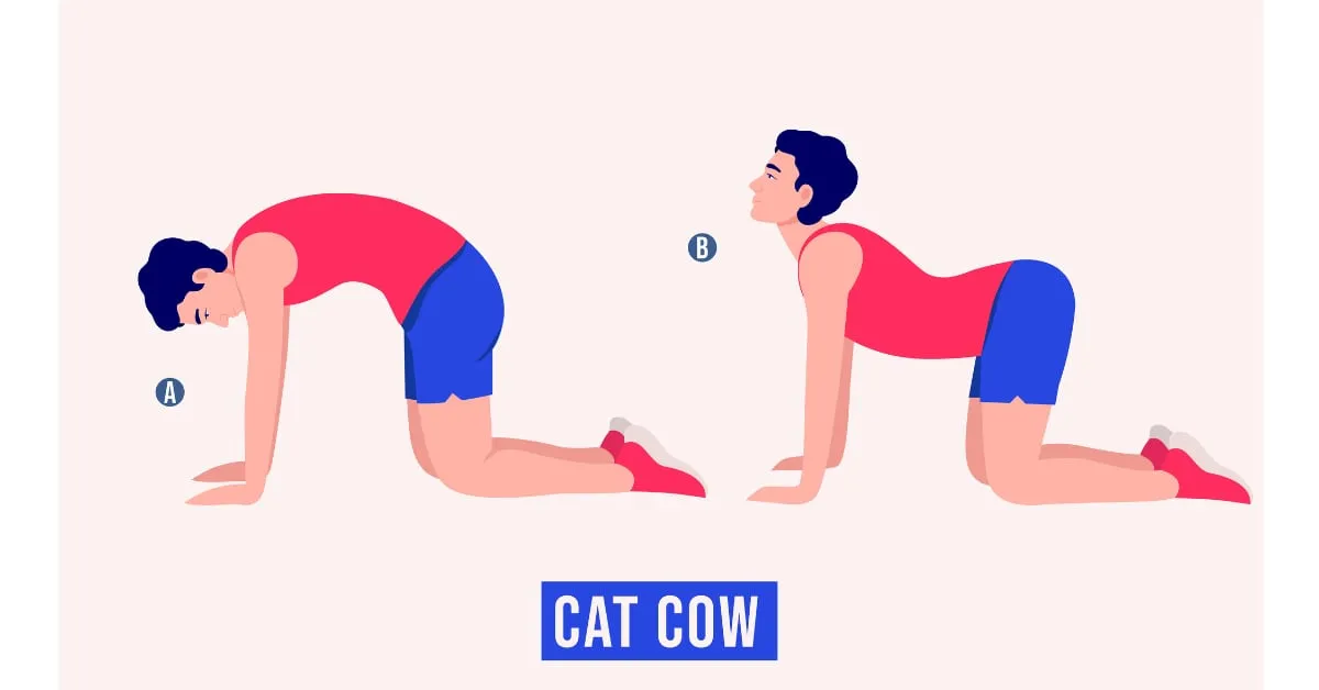 Cat-cow Stretch