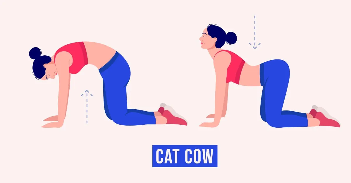 Cat-cow Stretch