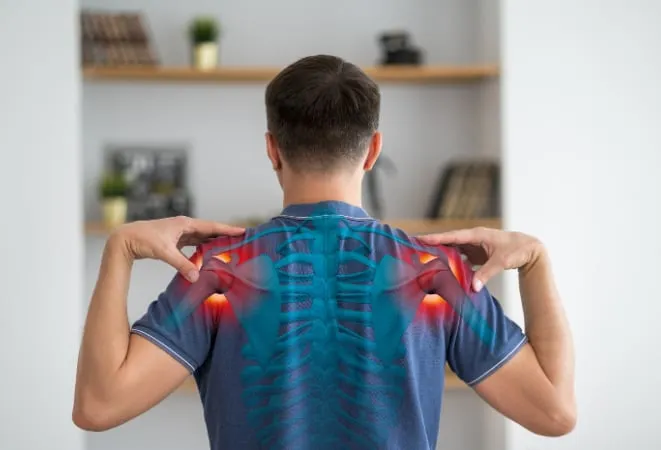 Rounded Shoulders